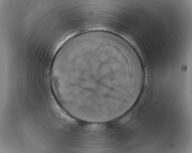 X0000110760806200907131208