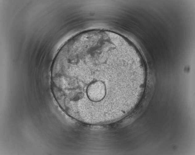 X0000110760807200907131208