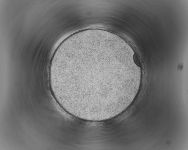 X0000110760808200907131208