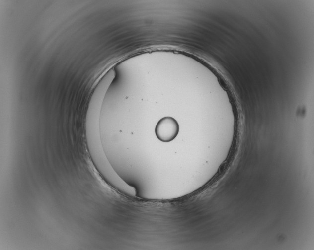 X0000110760809200907131208