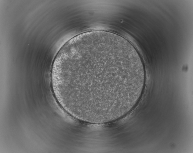 X0000110760810200907131208