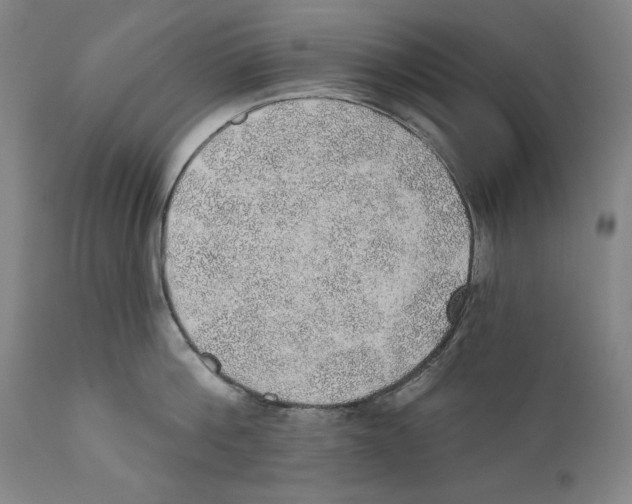 X0000110760812200907131208