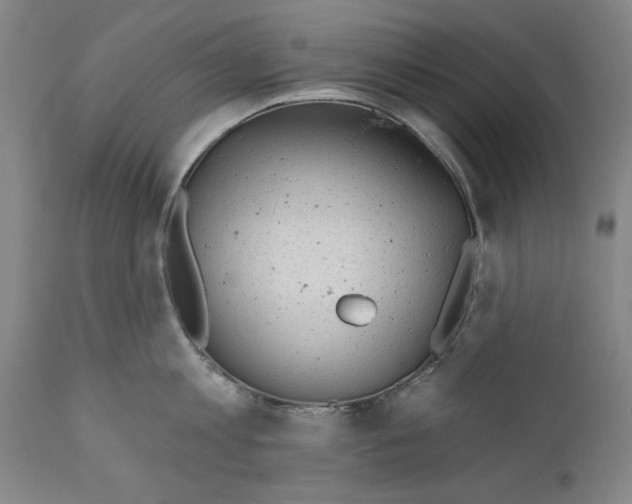 X0000110760813200907131208