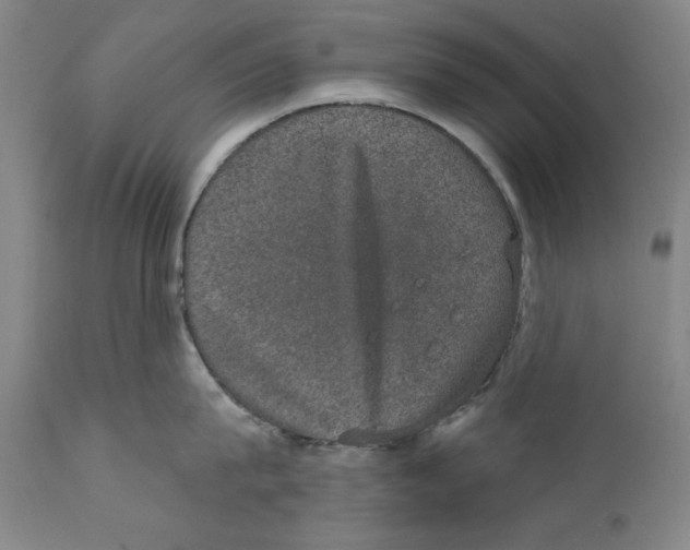 X0000110760815200907131208