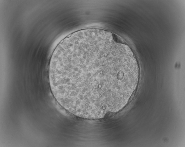 X0000110760816200907131208