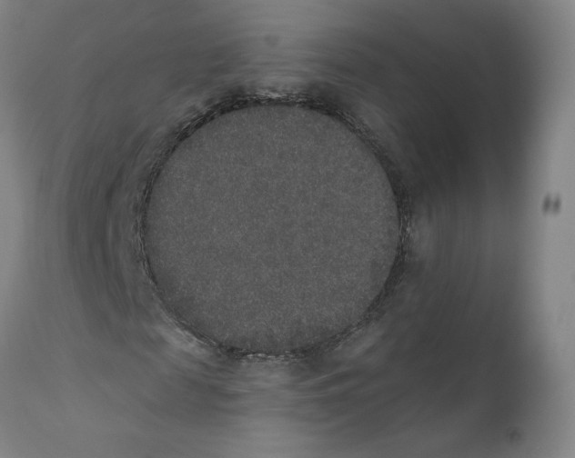 X0000110760817200907131208