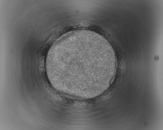 X0000110760818200907131208