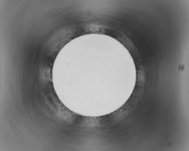 X0000110760820200907131208