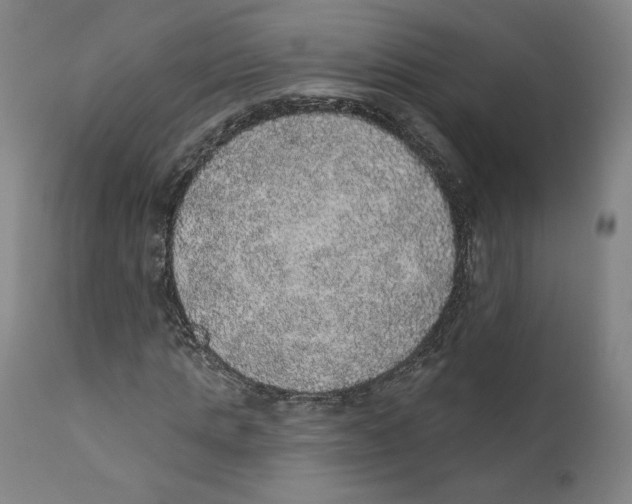 X0000110760821200907131208