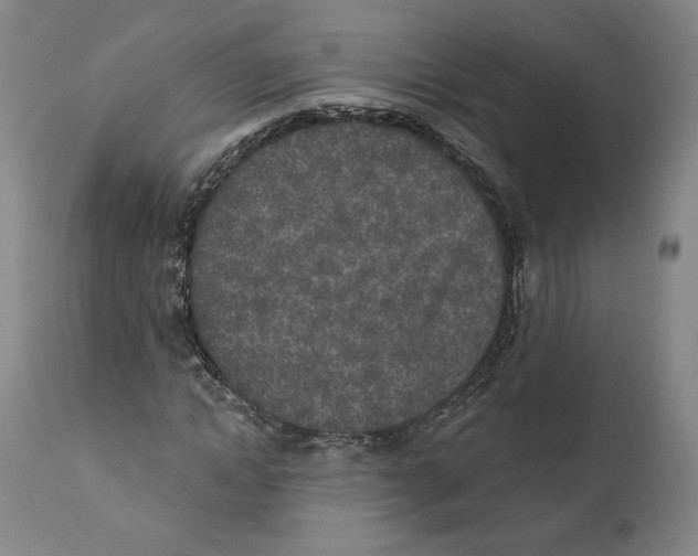 X0000110760822200907131208