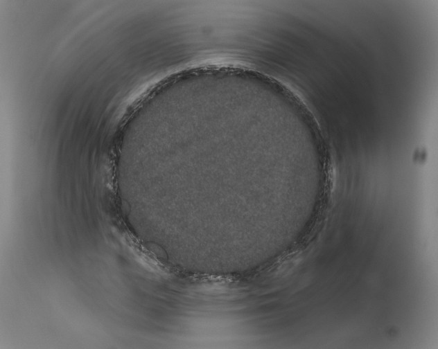 X0000110760823200907131208