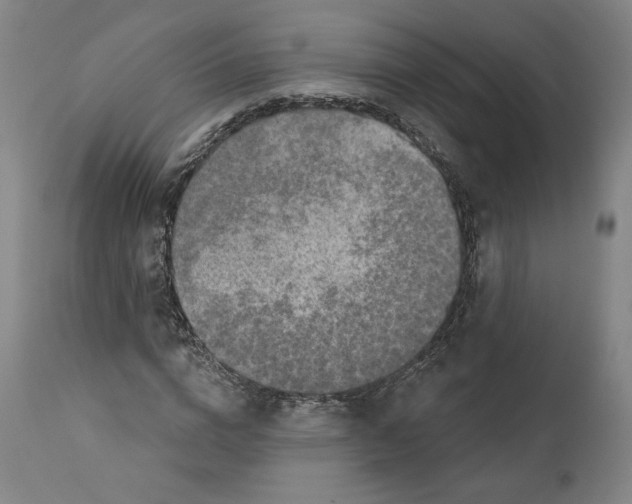 X0000110760824200907131208