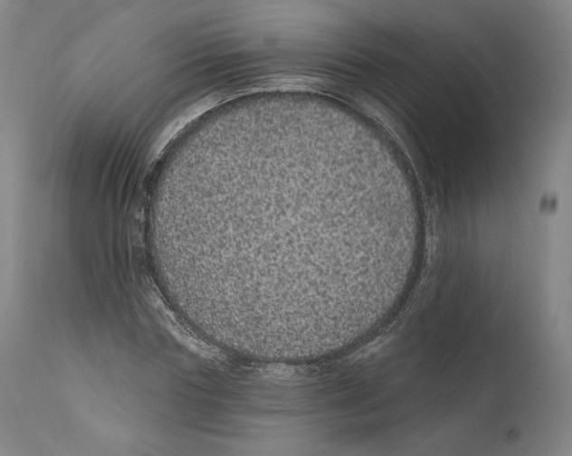 X0000110760827200907131208