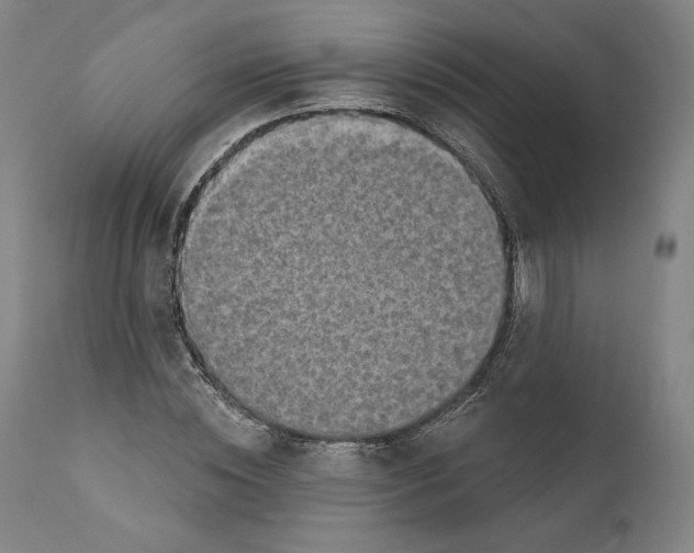 X0000110760828200907131208