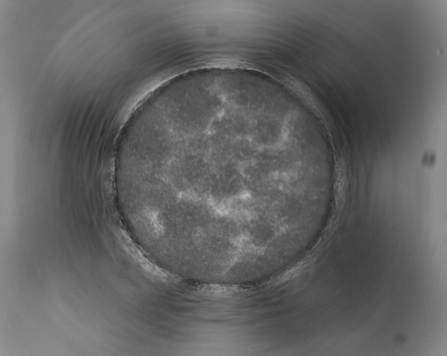 X0000110760831200907131208