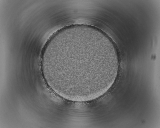 X0000110760832200907131208