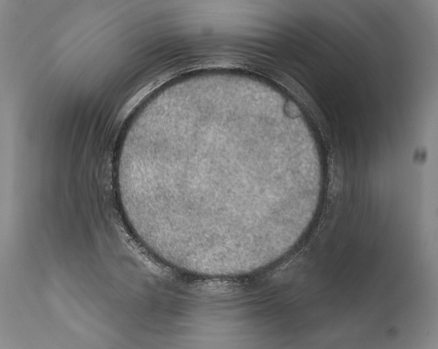 X0000110760834200907131208