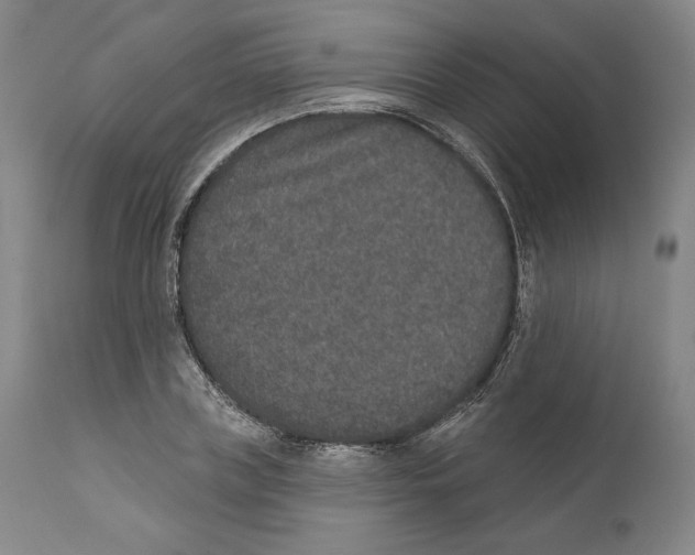 X0000110760835200907131208