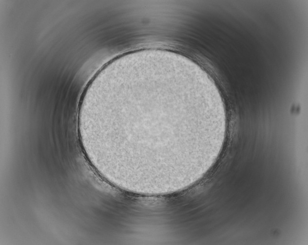 X0000110760836200907131208