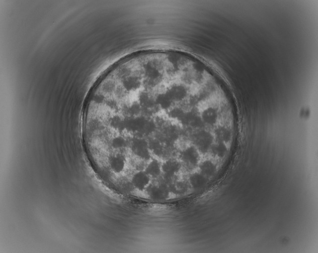 X0000110760839200907131208