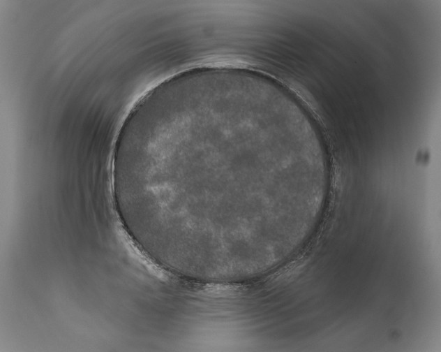 X0000110760840200907131208