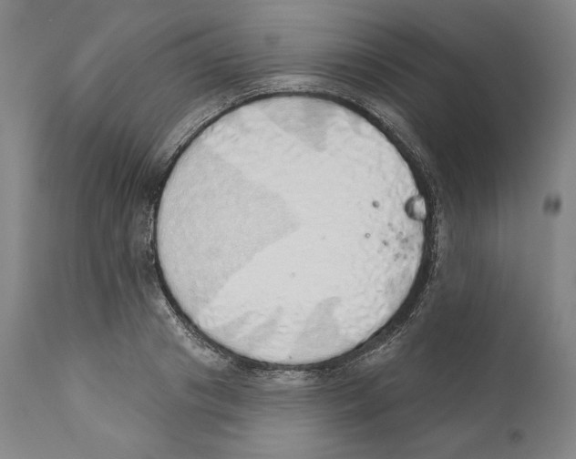 X0000110760841200907131208