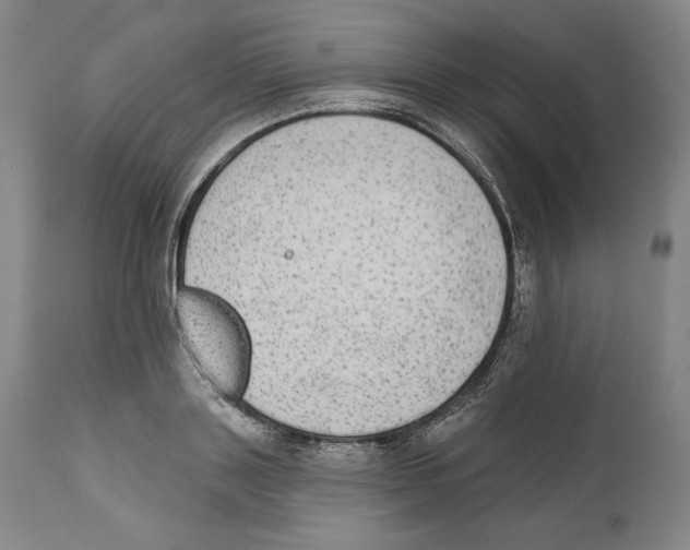 X0000110760843200907131208