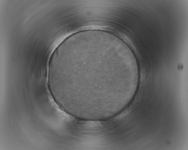 X0000110760844200907131208