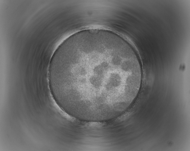 X0000110760847200907131208