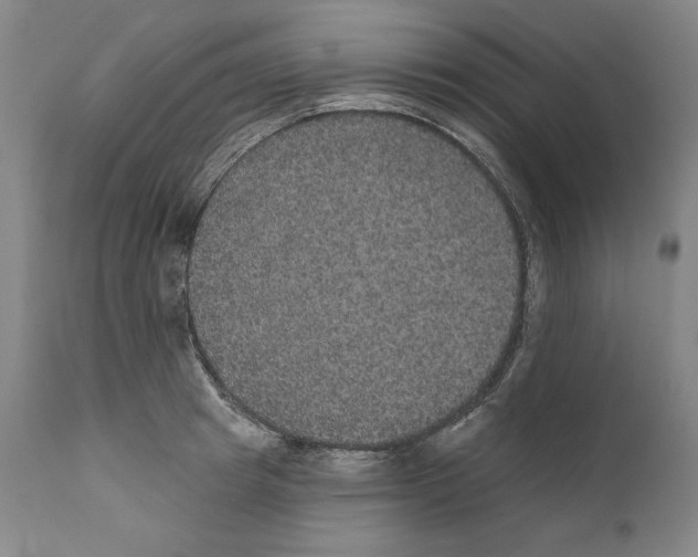 X0000110760849200907131208