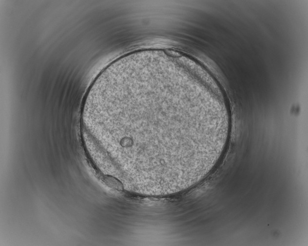 X0000110760850200907131208