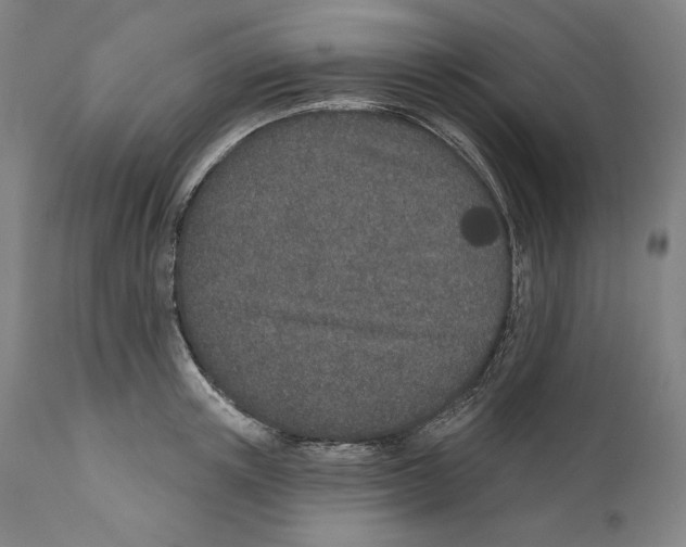 X0000110760851200907131208