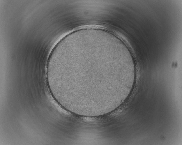 X0000110760852200907131208