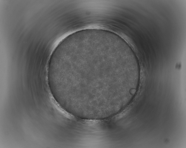 X0000110760854200907131208