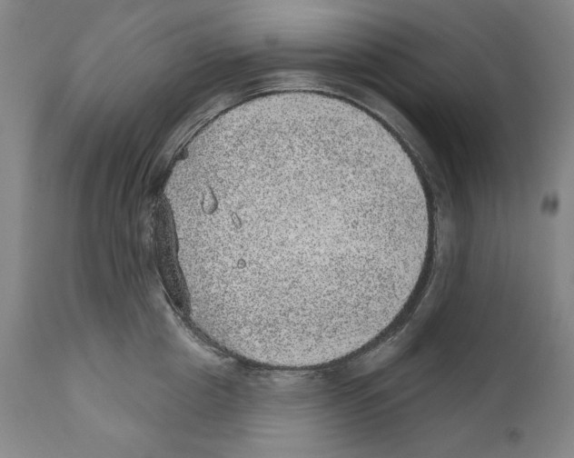 X0000110760857200907131208