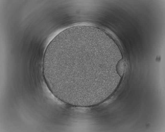 X0000110760860200907131208