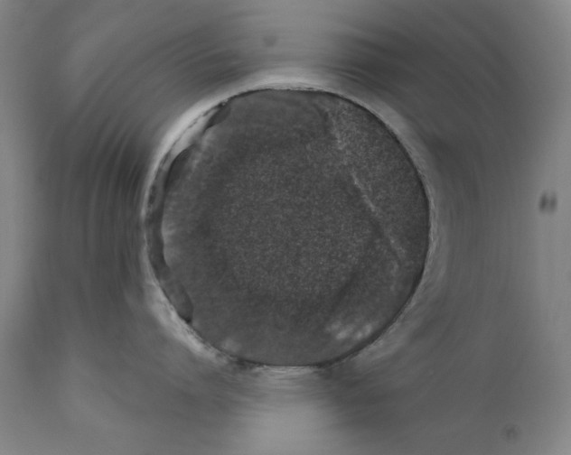 X0000110760864200907131208