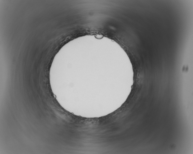 X0000110760865200907131208