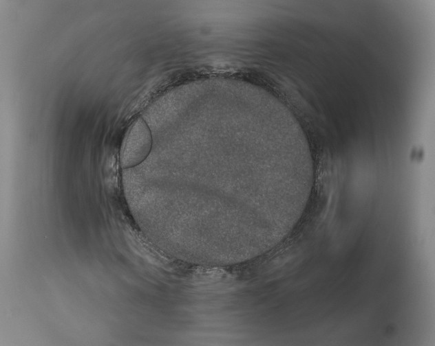 X0000110760866200907131208