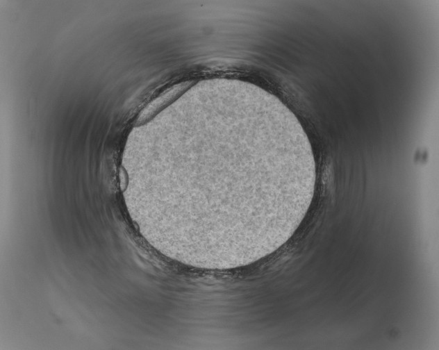 X0000110760868200907131208