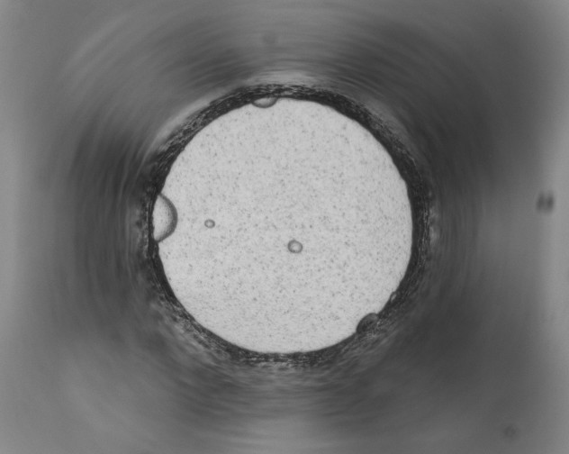 X0000110760872200907131208