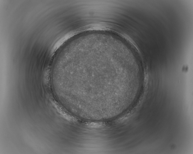 X0000110760874200907131207