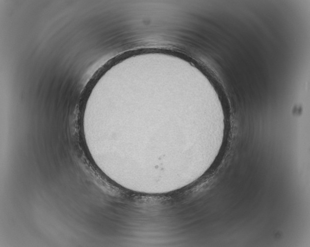 X0000110760875200907131207