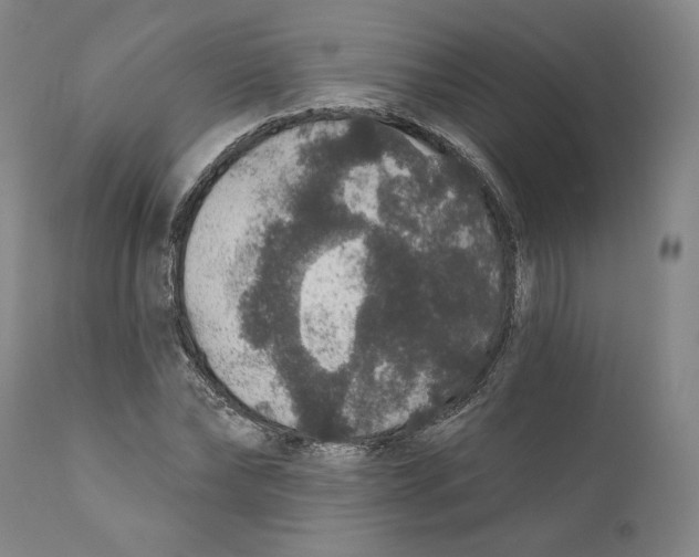 X0000110760878200907131207