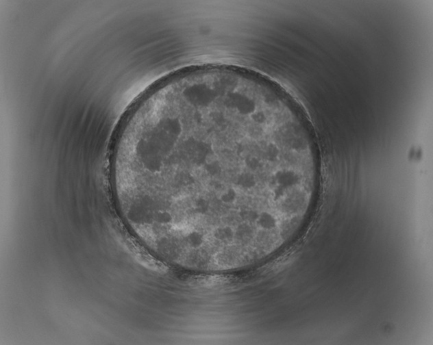 X0000110760879200907131207