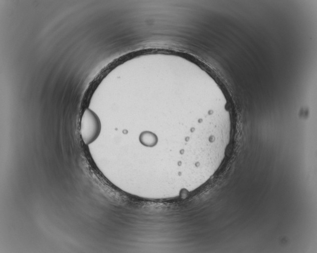 X0000110760880200907131207