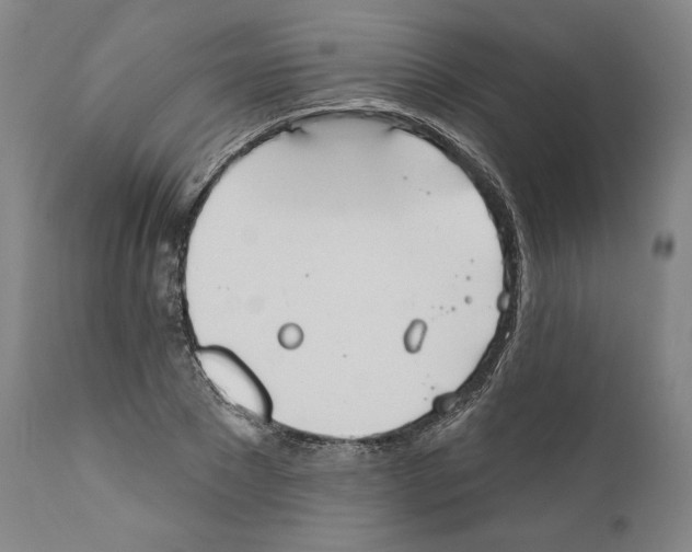 X0000110760881200907131207