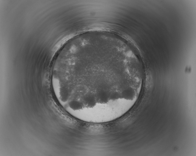 X0000110760882200907131207