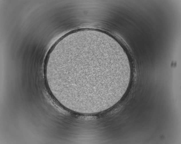 X0000110760884200907131207