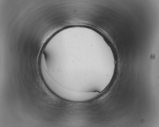 X0000110760885200907131207